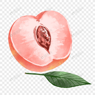 WWW,721av·COM网站APPAPP应用